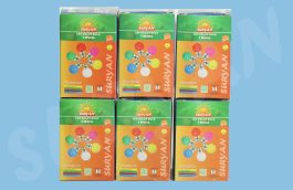 0.5W/1W – LED Bulb (Non Warranty)