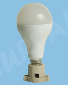 30W- LED Bulb