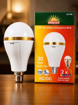 30W – Invertor Bulb