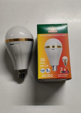 30W – Invertor Bulb