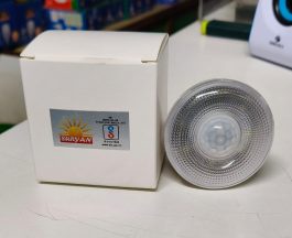 3W-Plug in Sensor Bulb