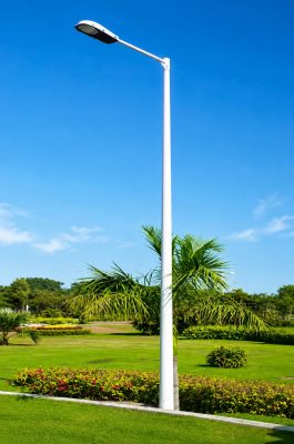 9 Mtr Single Arm Pole